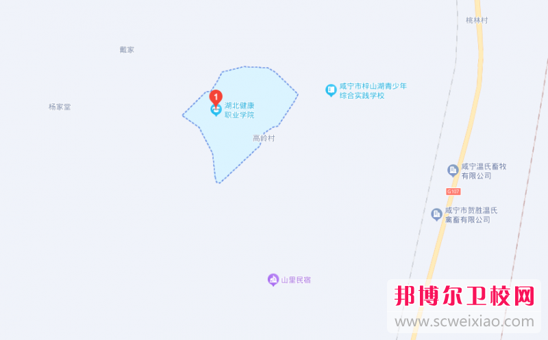 湖北健康職業(yè)學院地址在哪里，哪個地區(qū)，哪個城市?